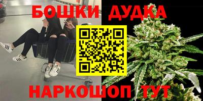 спиды Кандалакша