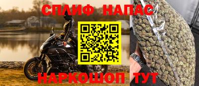 ALPHA PVP Камышлов